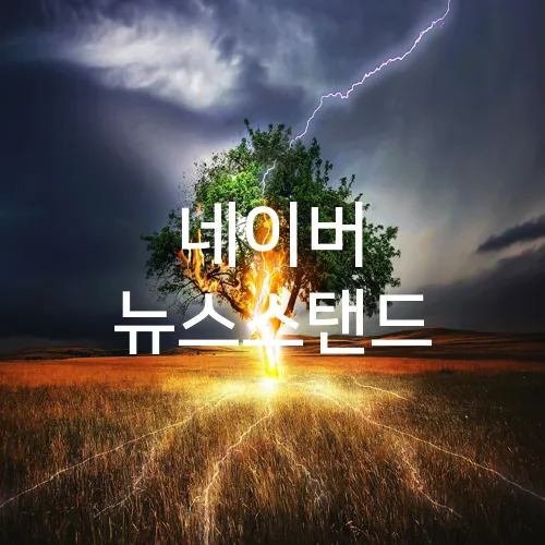 네이버 뉴스스탠드