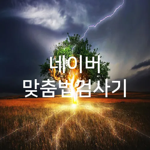 네이버 맞춤법검사기
