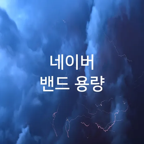 네이버 밴드 용량
