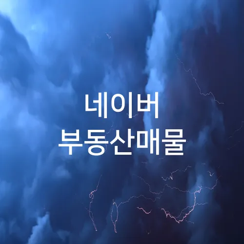 네이버 부동산매물