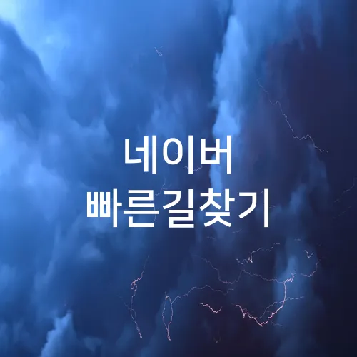 네이버 빠른길찾기