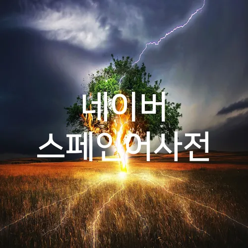 네이버 스페인어사전