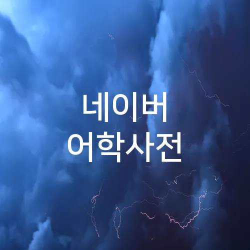 네이버 어학사전