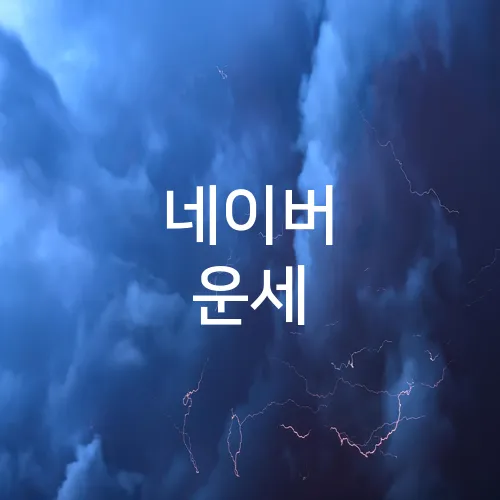네이버 운세