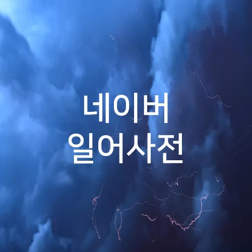 네이버 일어사전