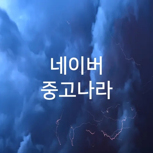 네이버 중고나라