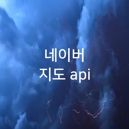 네이버 지도 api