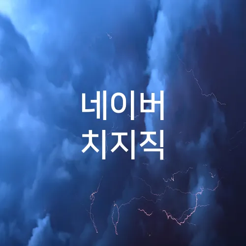네이버 치지직