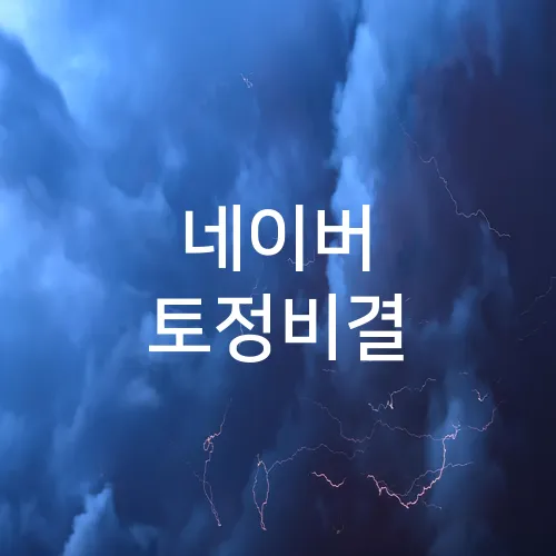 네이버 토정비결