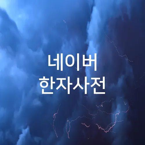 네이버 한자사전