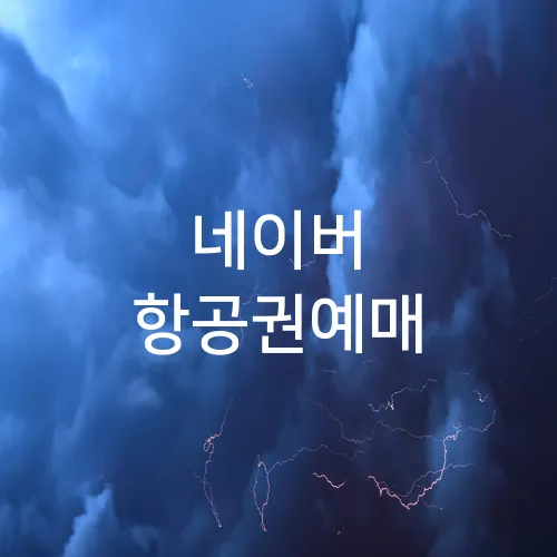 네이버 항공권예매