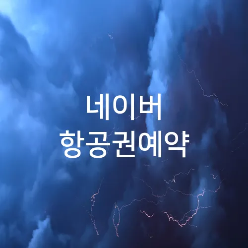 네이버 항공권예약