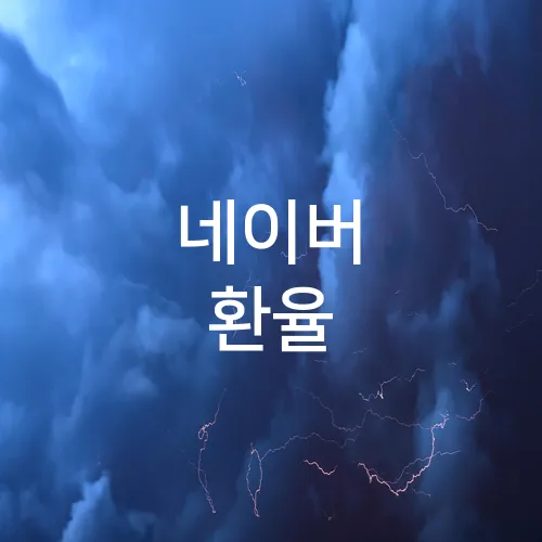 네이버 환율