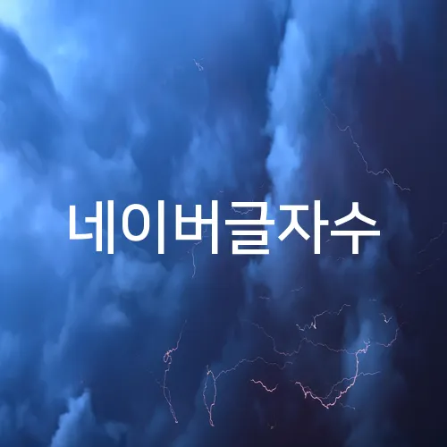 네이버글자수