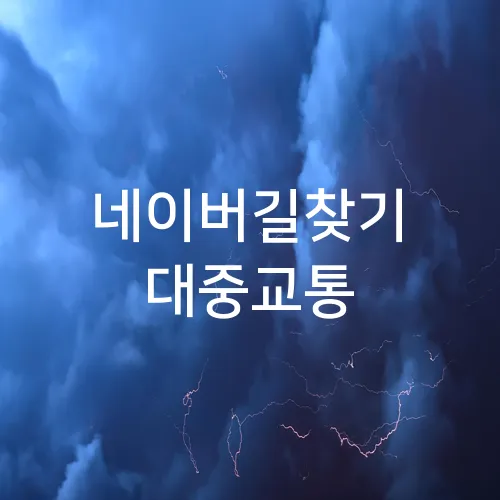 네이버길찾기 대중교통