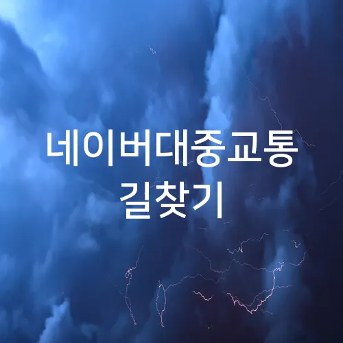 네이버대중교통 길찾기