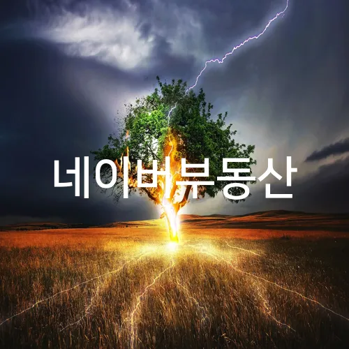 네이버부동산