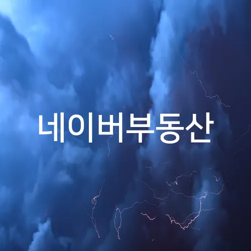 네이버부동산