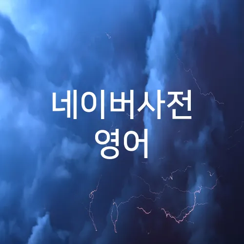 네이버사전 영어