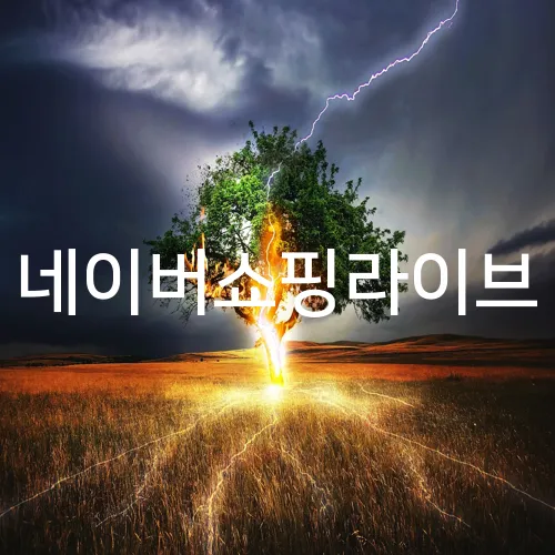 네이버쇼핑라이브