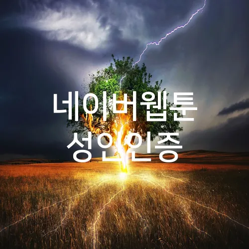 네이버웹툰 성인인증