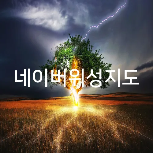 네이버위성지도