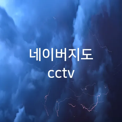 네이버지도 cctv