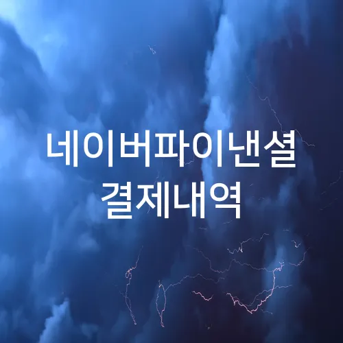 네이버파이낸셜 결제내역