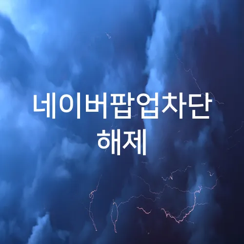 네이버팝업차단 해제