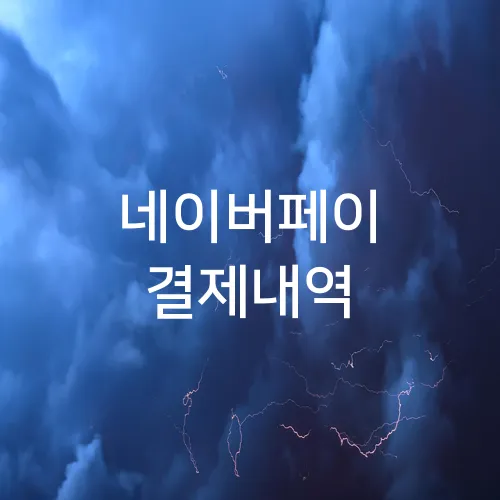 네이버페이 결제내역