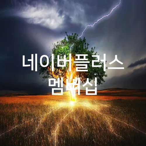 네이버플러스 멤버십
