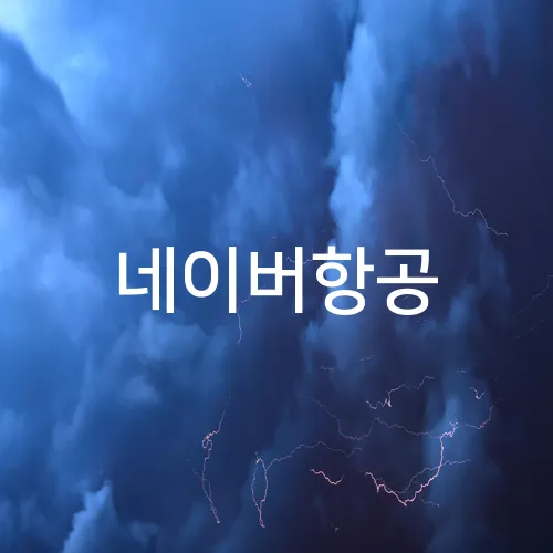 네이버항공