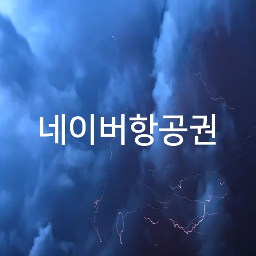 네이버항공권
