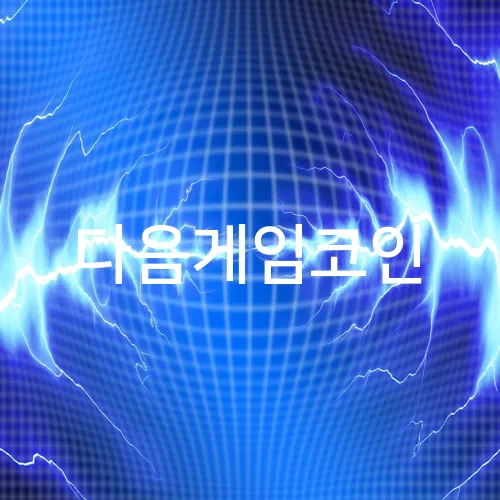 다음게임코인