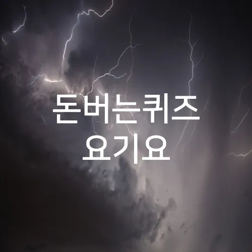 돈버는퀴즈 요기요