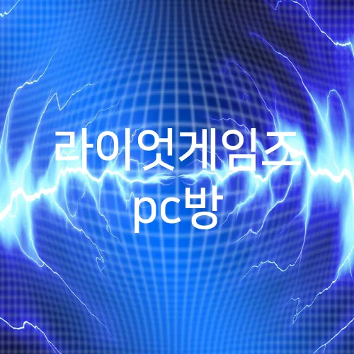 라이엇게임즈 pc방