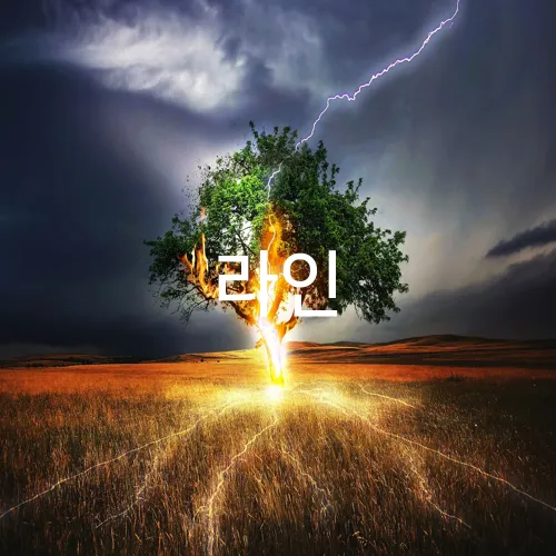라인