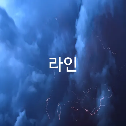 라인
