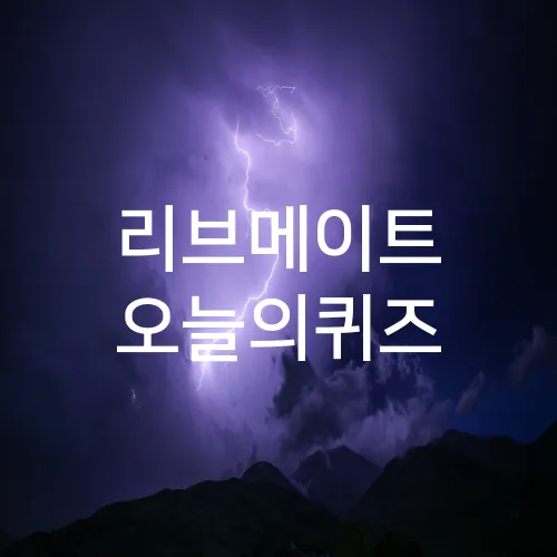 리브메이트 오늘의퀴즈