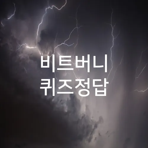 비트버니 퀴즈정답