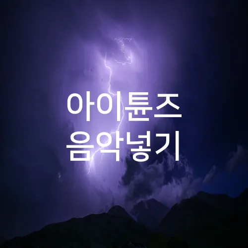 아이튠즈 음악넣기