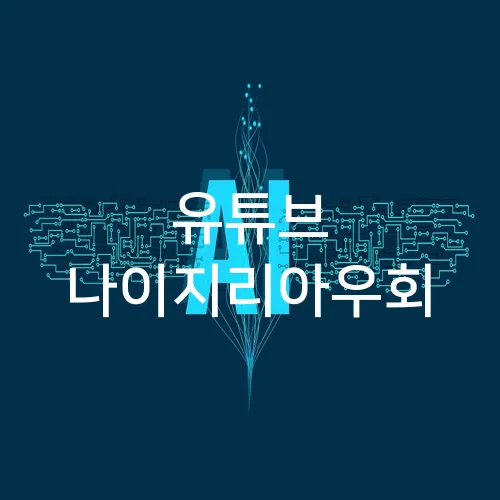 유튜브 나이지리아우회