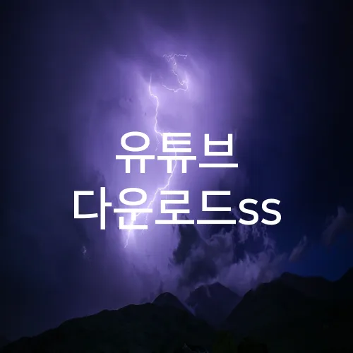유튜브 다운로드ss