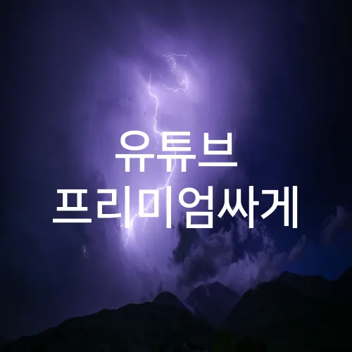 유튜브 프리미엄싸게