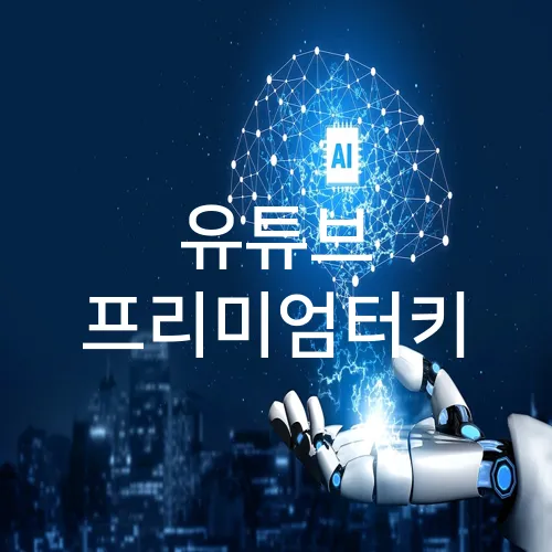 유튜브 프리미엄터키