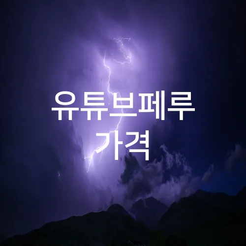 유튜브페루 가격