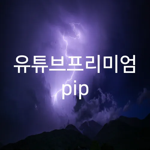 유튜브프리미엄 pip
