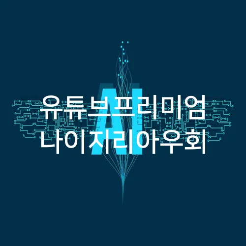 유튜브프리미엄 나이지리아우회