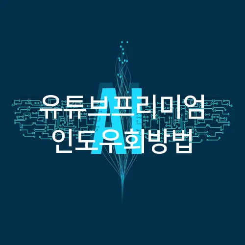 유튜브프리미엄 인도우회방법