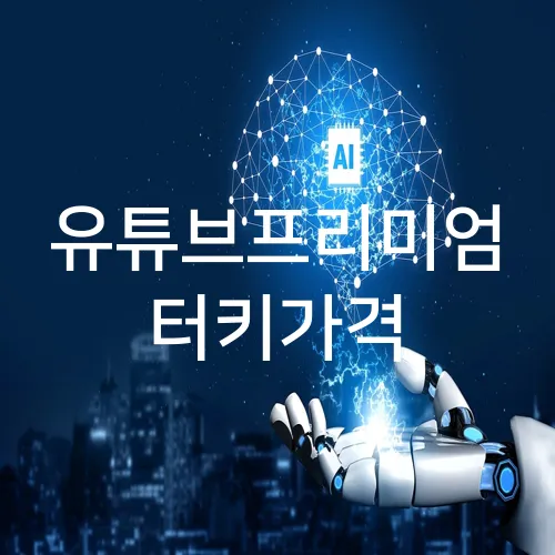 유튜브프리미엄 터키가격